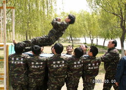 徐州拓展訓練價格、型號規格與服務選購全指南